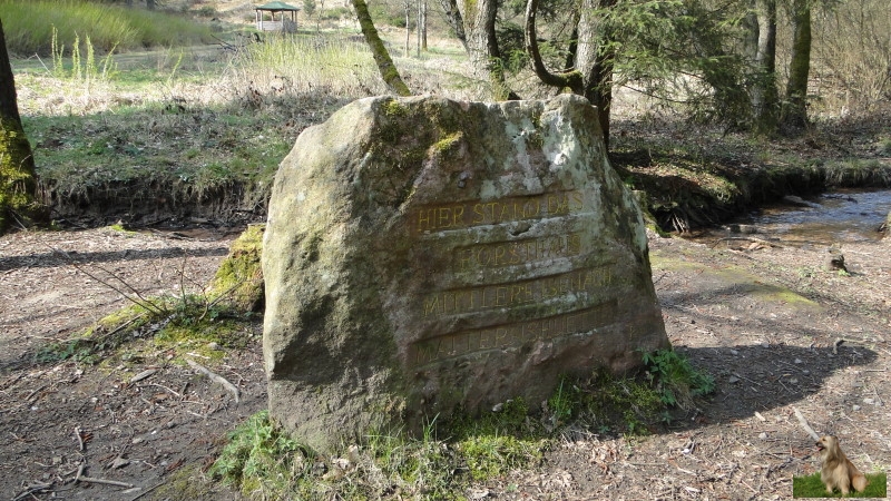 Ritterstein Nr. 279-4 Hier stand das Forsthaus Mittlere Isenach Matternshuette.JPG - Ritterstein Nr.279 Hier stand das Forsthaus Mittlere Isenach Matternshuette